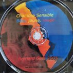 Limited Edition Sensitive Rooms - 2005 - Bleu, jaune, rouge 2 - Bernard Gast